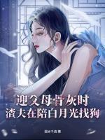 程迟阮音书免费阅读