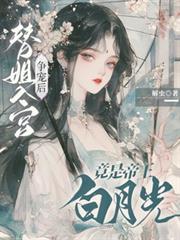 替姐姐入宫陈朝阳